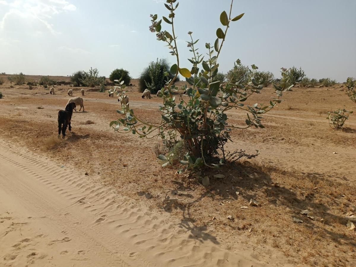 Hotel Relax Inn Jaisalmer Ngoại thất bức ảnh